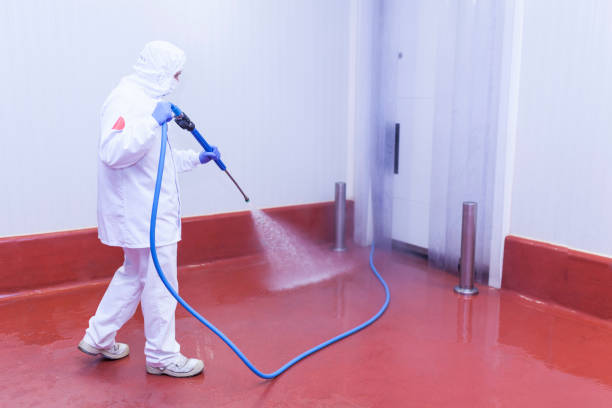 Best Spring Cleaning  in Salida Del Sol Estates, TX
